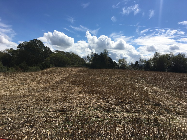 Image for 35.54 +/- Agriculture Tract, Talbott, TN