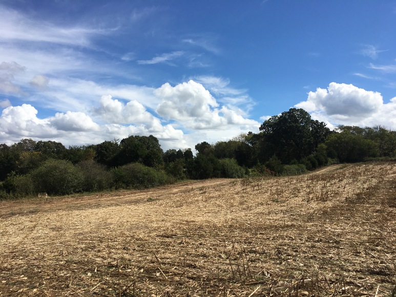 Image for 35.54 +/- Agriculture Tract, Talbott, TN