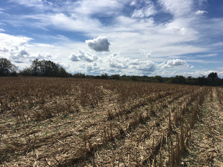 Image for 35.54 +/- Agriculture Tract, Talbott, TN