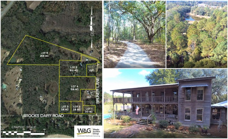 Image for Auction: Charming Country Retreat located on 57+/- Acres. Lee County, Georgia