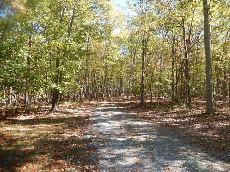 Image for 6054 Bishops Creek Rd, Lynch Station, VA 24571