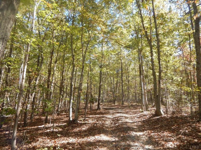 Image for 6054 Bishops Creek Rd, Lynch Station, VA 24571