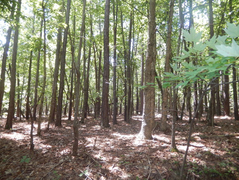 Image for 2 Lots on Oxford Furnace Rd in Lynchburg, VA 24504