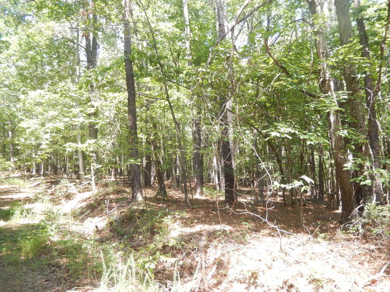 Image for 2 Lots on Oxford Furnace Rd in Lynchburg, VA 24504
