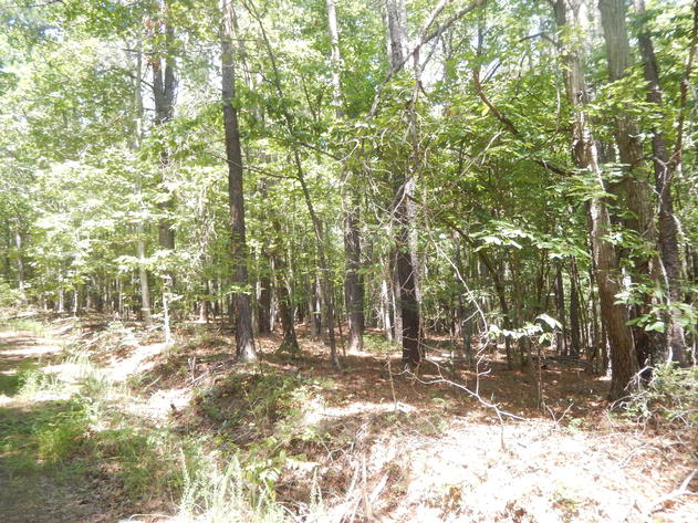 Image for 2 Lots on Oxford Furnace Rd in Lynchburg, VA 24504