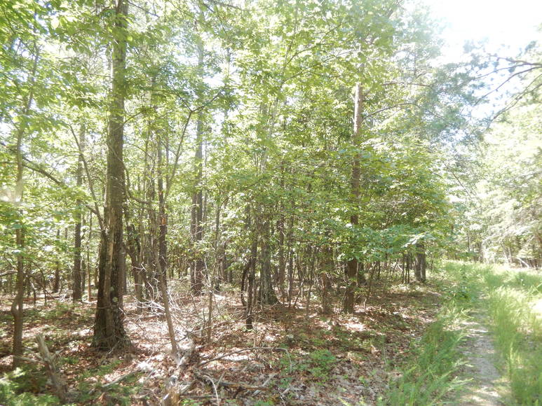 Image for 2 Lots on Oxford Furnace Rd in Lynchburg, VA 24504