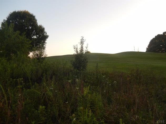 Image for 306  London Downs Dr,  Forest, VA  24551