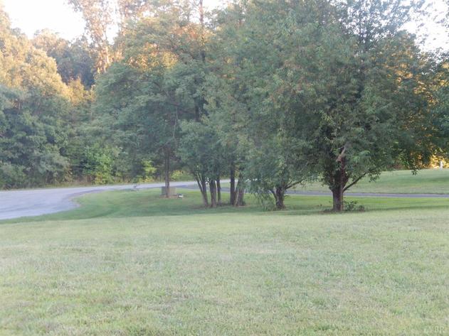 Image for 306  London Downs Dr,  Forest, VA  24551