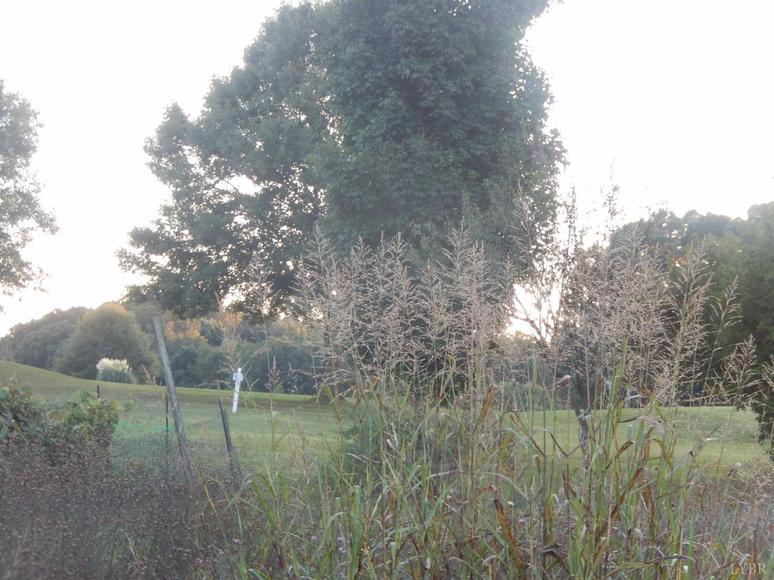 Image for 306 London Downs Dr, Forest, VA 24551