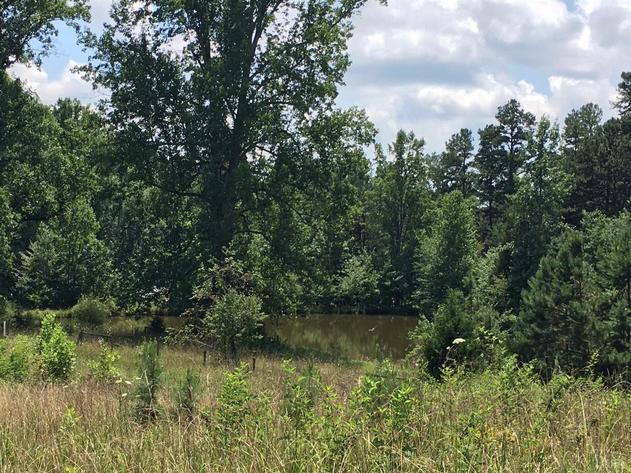 Image for 2921  East Ferry Rd,  Gladys, VA  24554