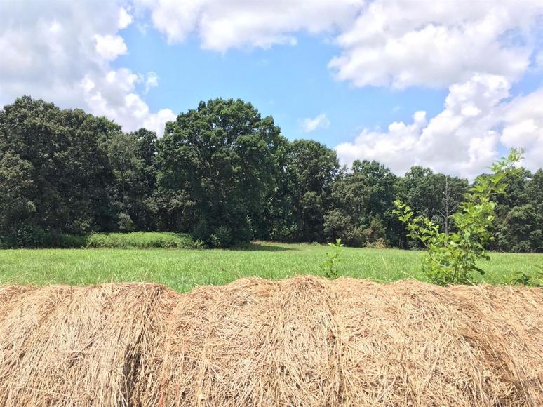 Image for 2921  East Ferry Rd,  Gladys, VA  24554