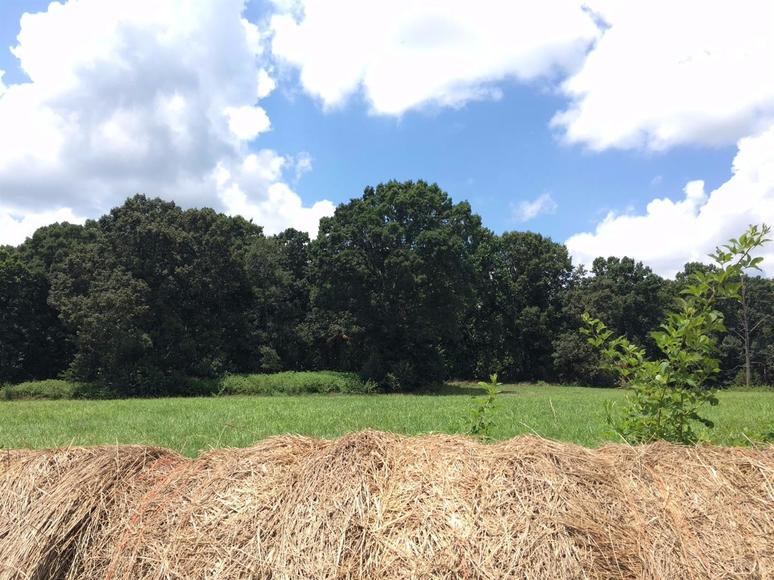 Image for 2921  East Ferry Rd,  Gladys, VA  24554