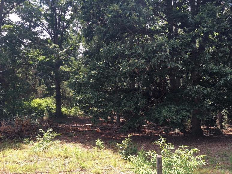 Image for 2921  East Ferry Rd,  Gladys, VA  24554