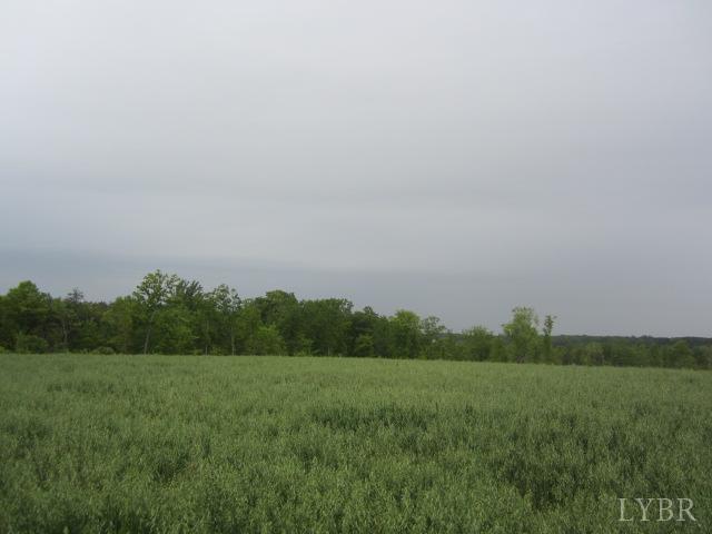 Image for 96.4 Acres on Oak St, Brookneal, VA 24528