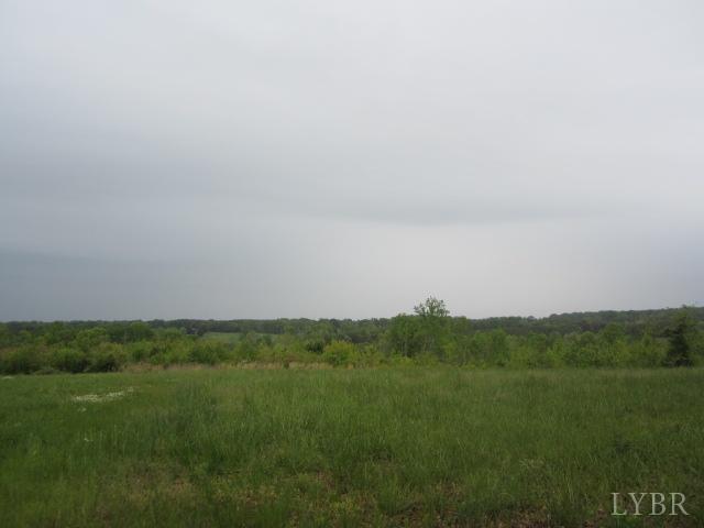 Image for 96.4 Acres on Oak St, Brookneal, VA 24528