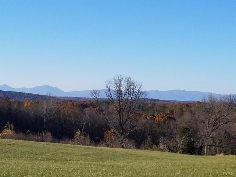 Image for 107.11 acres on Wards Rd,  Altavista, VA  24517