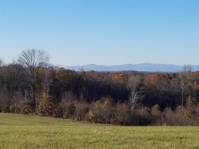 Image for 107.11 acres on Wards Rd,  Altavista, VA  24517