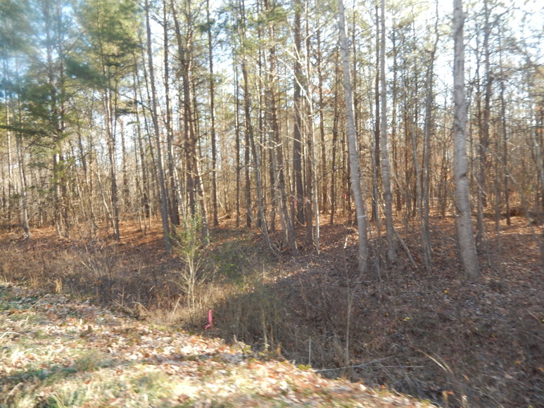 Image for Leesville Rd / Dearborn Rd Lots