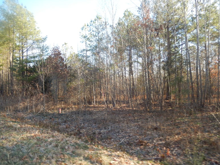 Image for Leesville Rd / Dearborn Rd Lots