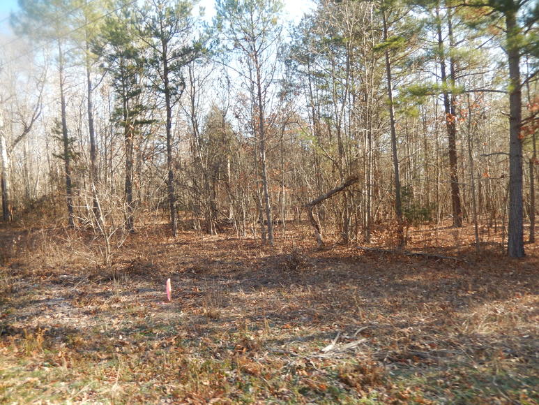 Image for Leesville Rd / Dearborn Rd Lots