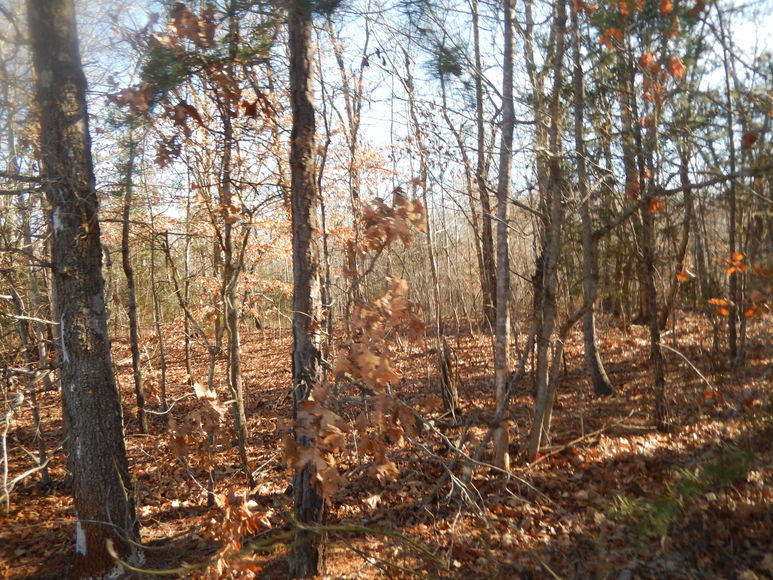 Image for Leesville Rd / Dearborn Rd Lots