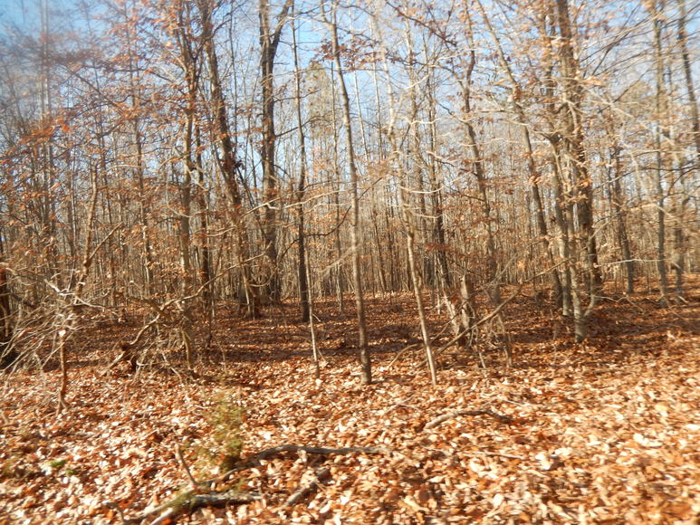 Image for Leesville Rd / Dearborn Rd Lots