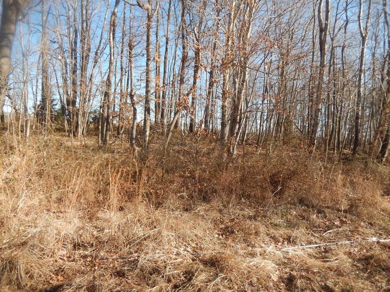 Image for 353 Brownsville Heights Ln Java, VA 24565