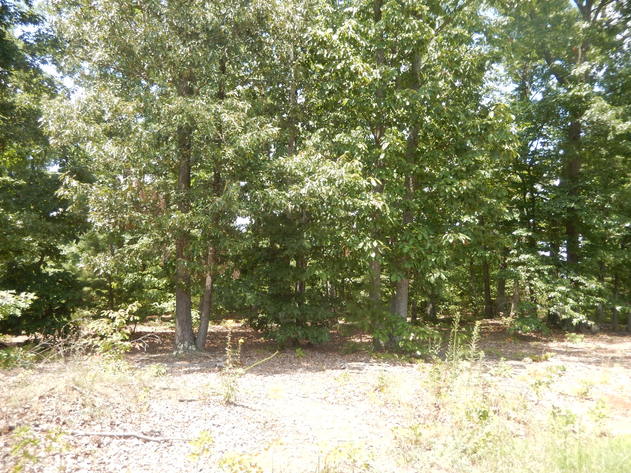 Image for 0.46 Acres in Concord Estates