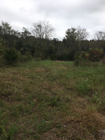 Image for 5909 Stewarts Ferry Pike, Mt. Juliet, TN  37122