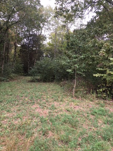 Image for 5909 Stewarts Ferry Pike, Mt. Juliet, TN  37122