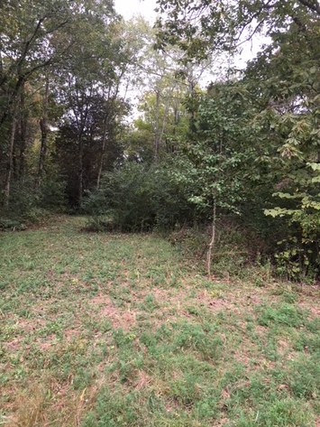 Image for 5909 Stewarts Ferry Pike, Mt. Juliet, TN  37122