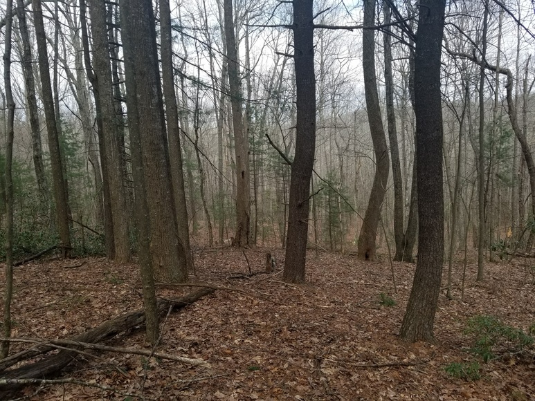 Image for Commissioner's Sale of Real Estate - Patrick County, VA