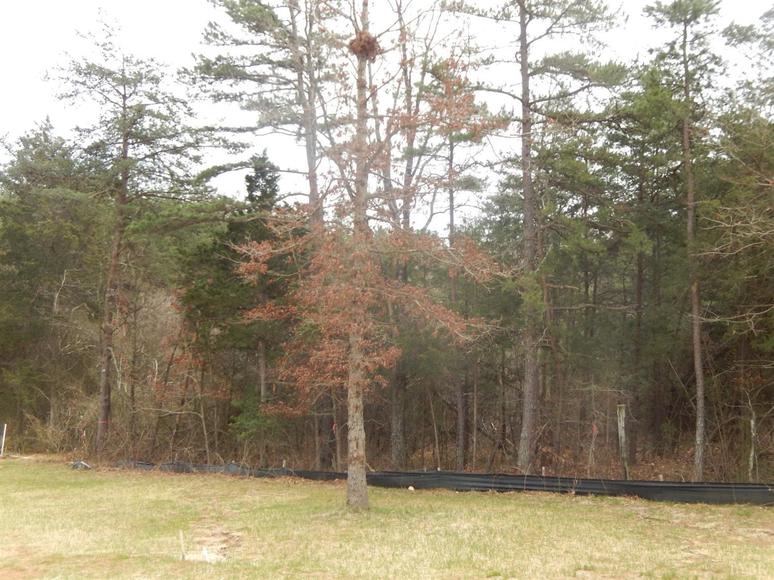 Image for 4710 Colonial Hwy, Evington, VA 24550