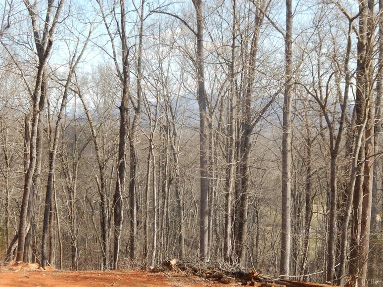 Image for 2002 Lankford Mill Bedford, VA 24523