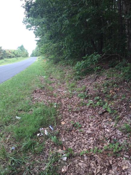 Image for Rockford School Rd,  Gretna, VA  24557