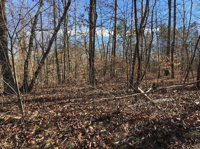 Image for East Ferry Rd,  Gladys, VA  24554