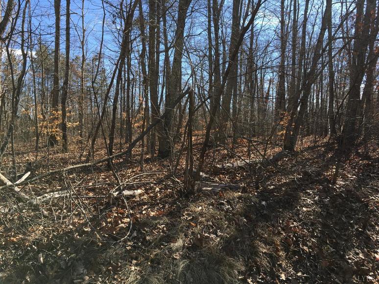 Image for East Ferry Rd,  Gladys, VA  24554