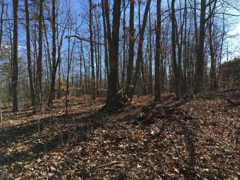 Image for East Ferry Rd,  Gladys, VA  24554