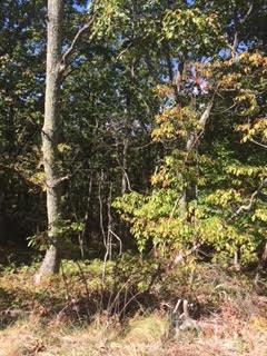 Image for Mt. Vista Dr,  Lynchburg, VA  24504