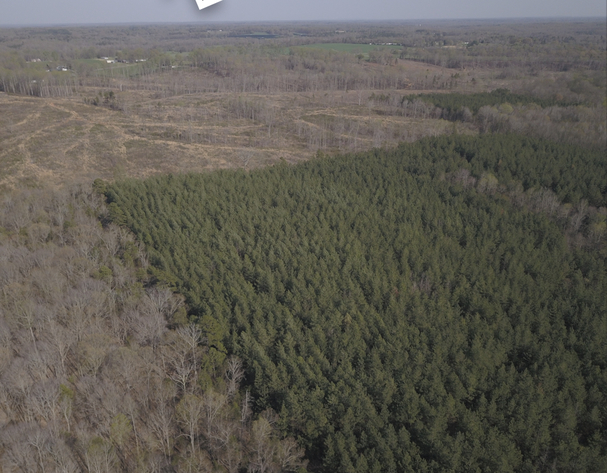 Image for 79 & 20+ - Acres + - Davie County