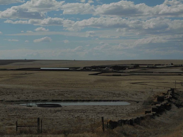 Eastern Colorado Farm & Ranch Auction2,595 +/ Acres in Kit Carson County