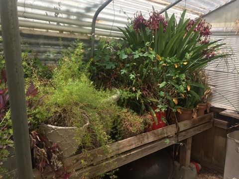 Image for Belton Online Auction