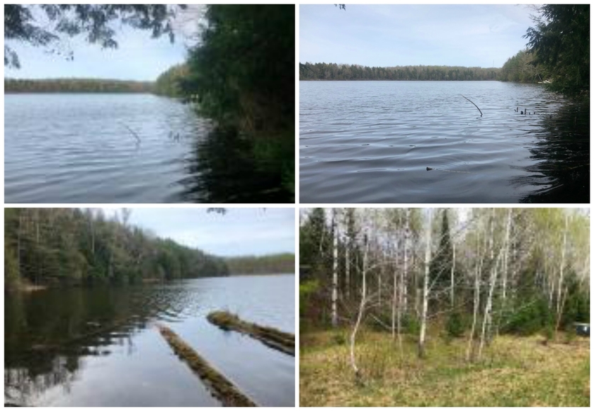 Image for 3 Dark Lake Vacant Lots - Langlade, WI