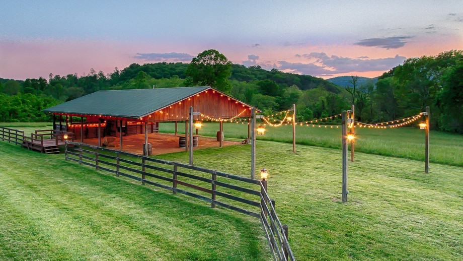 Image for Spring Tree Farms