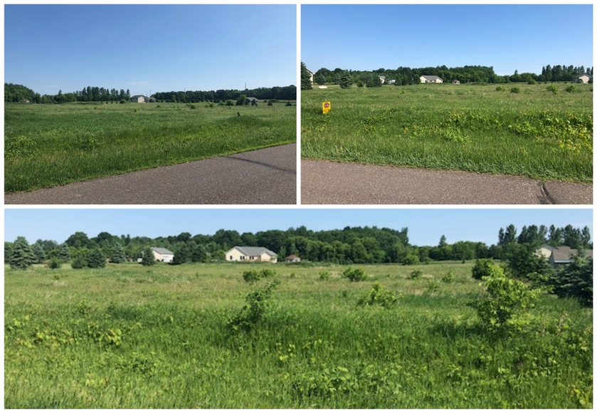 Buildable Lot Farmington, WI