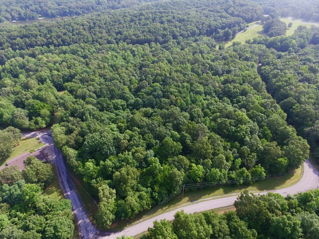 Image for 10.8+/- Acres @ Malcolms Point