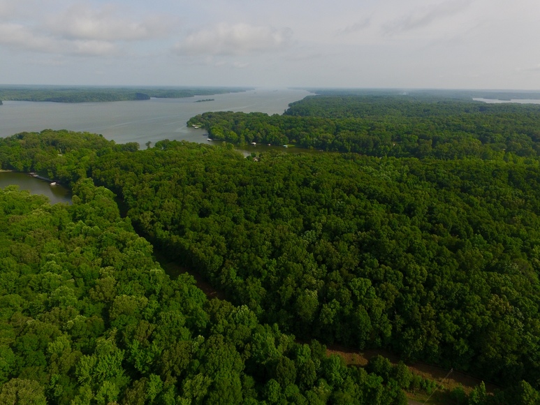 Image for 10.8+/- Acres @ Malcolms Point