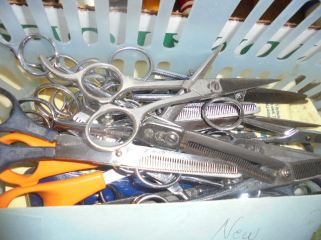 Image for PUBLIC ESTATE AUCTION (LIVING ESTATE)