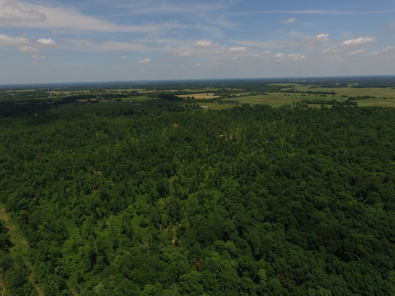 Image for 8000 South Road Cadiz, Ky 42211