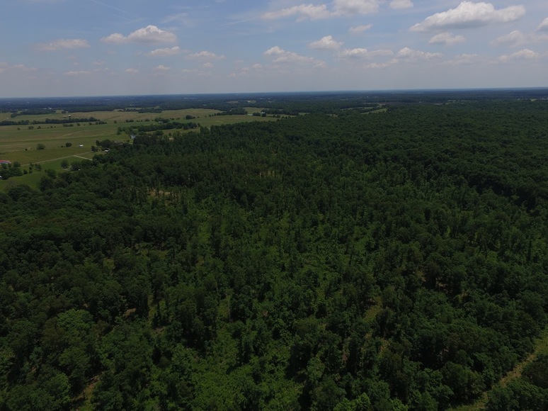 Image for 8000 South Road Cadiz, Ky 42211